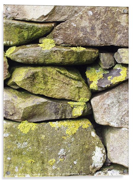 Dry stone wall, Cumbria, with lichen Acrylic by DEE- Diana Cosford