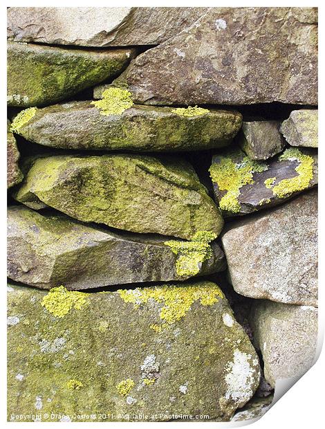 Dry stone wall, Cumbria, with lichen Print by DEE- Diana Cosford