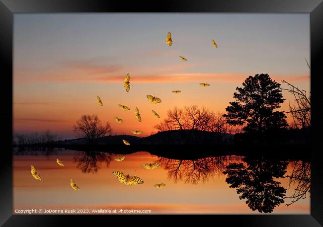 Butterfly Dawn Framed Print by JoDonna Rusk