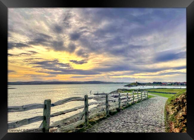 Holy Island Framed Print by David Thompson