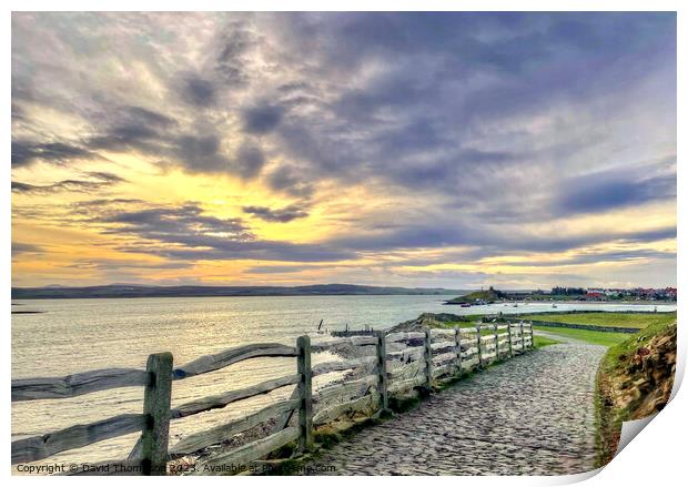 Holy Island Print by David Thompson