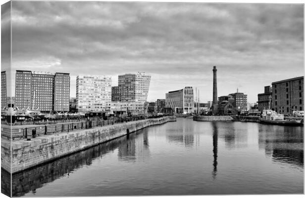 Royal Albert Docks Mono Canvas Print by Steve Smith