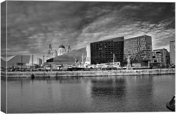 Royal Albert Docks Views Mono Canvas Print by Steve Smith