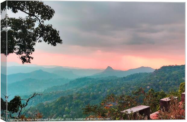 a view of forest in and orange sunset , a view from munnar kerla india Canvas Print by Anish Punchayil Sukumaran