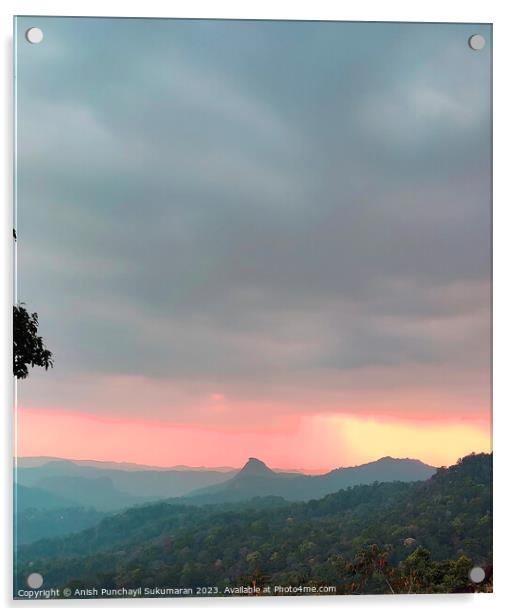a view of forest in and orange sunset , a view from munnar kerla india Acrylic by Anish Punchayil Sukumaran