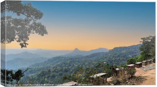 a view of forest in and orange sunset , a view from munnar kerla india Canvas Print by Anish Punchayil Sukumaran
