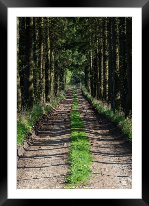 Path in the spring forest and on the sides grows grass Framed Mounted Print by Lubos Chlubny