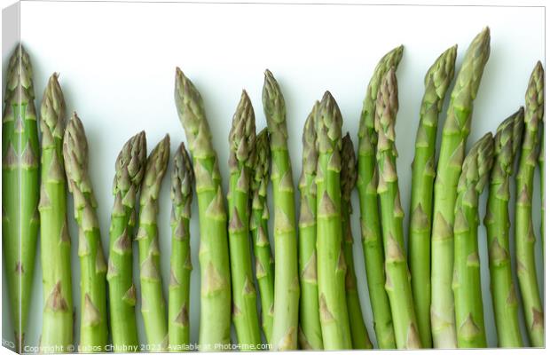 Fresh asparagus officinalis isolated on white background Canvas Print by Lubos Chlubny