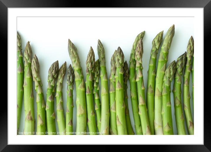 Fresh asparagus officinalis isolated on white background Framed Mounted Print by Lubos Chlubny