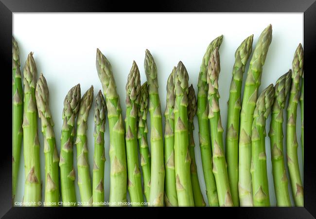 Fresh asparagus officinalis isolated on white background Framed Print by Lubos Chlubny