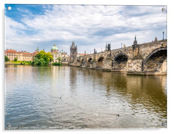 Charles Bridge over Vltava river in Prague. Acrylic by Cristi Croitoru