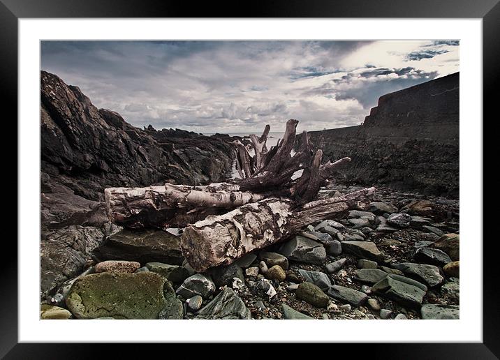 Driftwood at Old St John's Point co down Framed Mounted Print by pauline morris