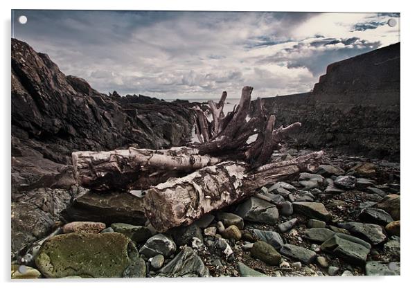 Driftwood at Old St John's Point co down Acrylic by pauline morris
