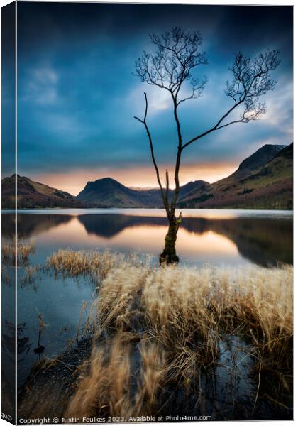 Lone tree at Buttermere, Lake District Canvas Print by Justin Foulkes