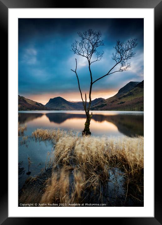 Lone tree at Buttermere, Lake District Framed Mounted Print by Justin Foulkes