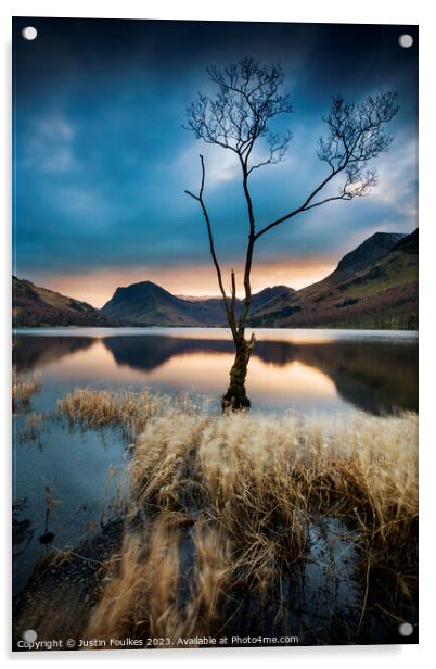 Lone tree at Buttermere, Lake District Acrylic by Justin Foulkes