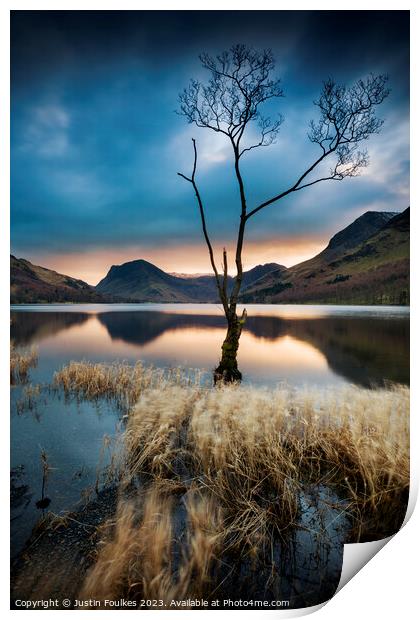 Lone tree at Buttermere, Lake District Print by Justin Foulkes