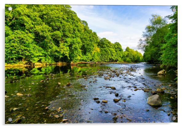 River Swale Richmond Acrylic by Steve Smith