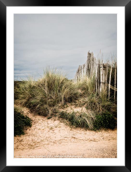 A Picket Fence & Sand Dunes On The Seafront At Dawlish Warren, D Framed Mounted Print by Peter Greenway