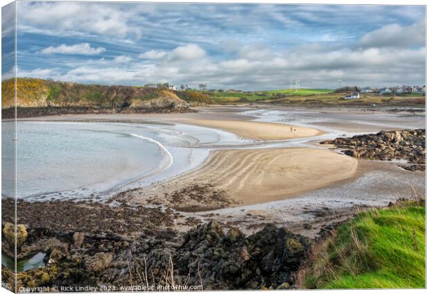 Cemaes Bay Canvas Print by Rick Lindley