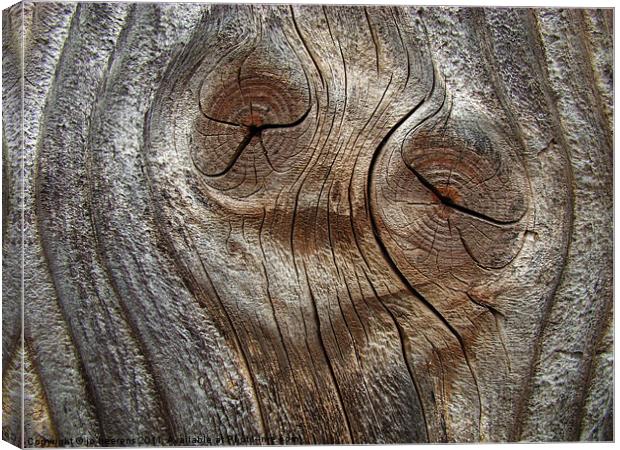 wood face Canvas Print by Jo Beerens