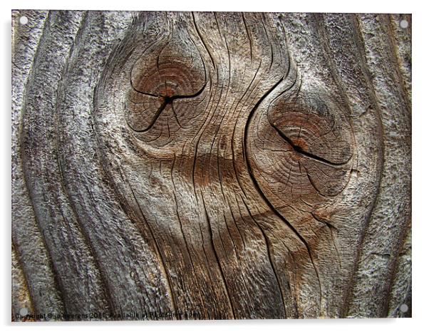 wood face Acrylic by Jo Beerens