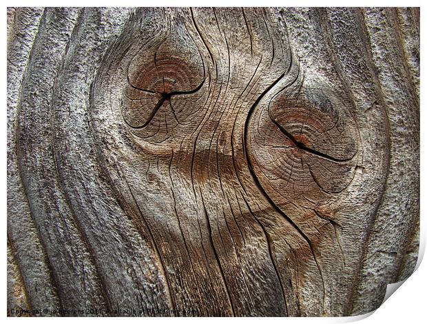 wood face Print by Jo Beerens