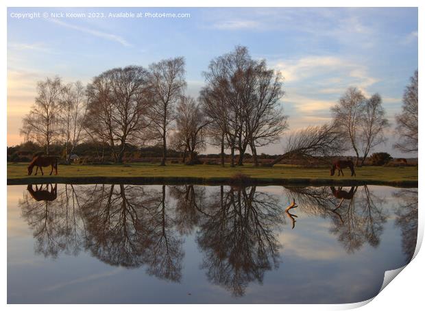 New Forest Winter reflections Print by Nick Keown