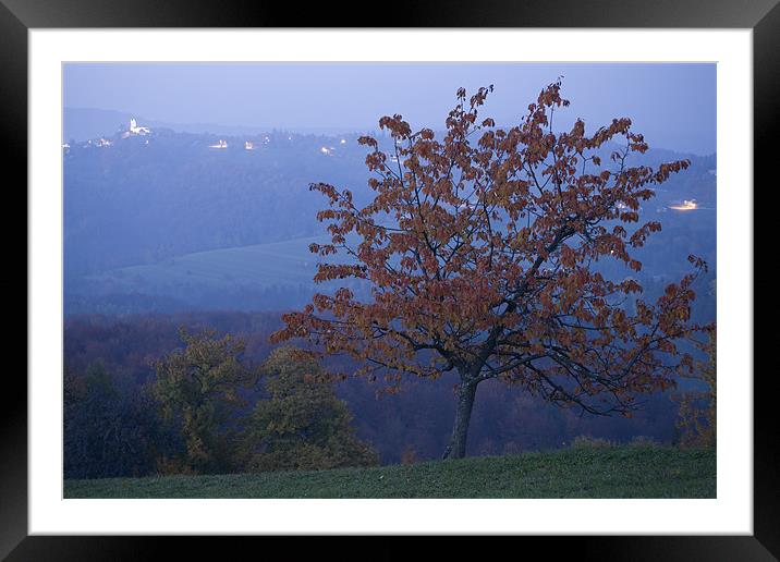 Autumn colour at dusk Framed Mounted Print by Ian Middleton