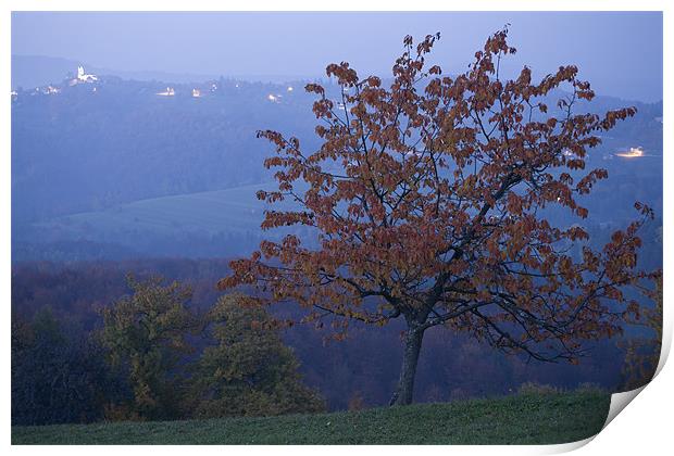 Autumn colour at dusk Print by Ian Middleton