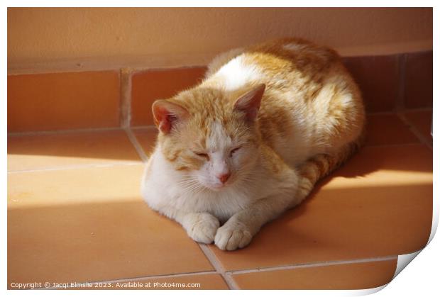 Sleeping ginger cat Print by Jacqi Elmslie