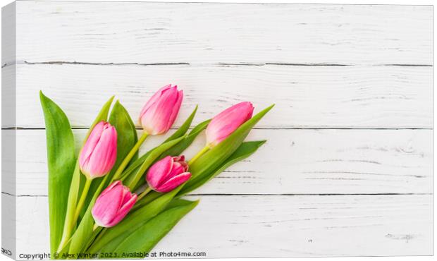 bunch of Pink tulip flowers Canvas Print by Alex Winter