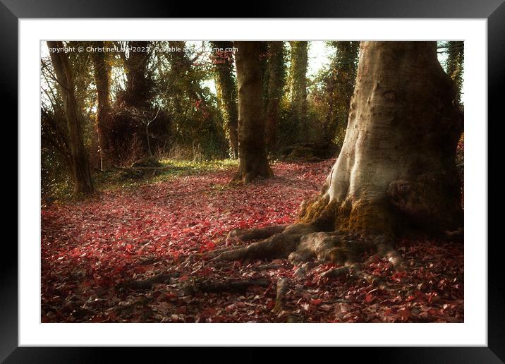 A Carpet Of Autumn Leaves Framed Mounted Print by Christine Lake