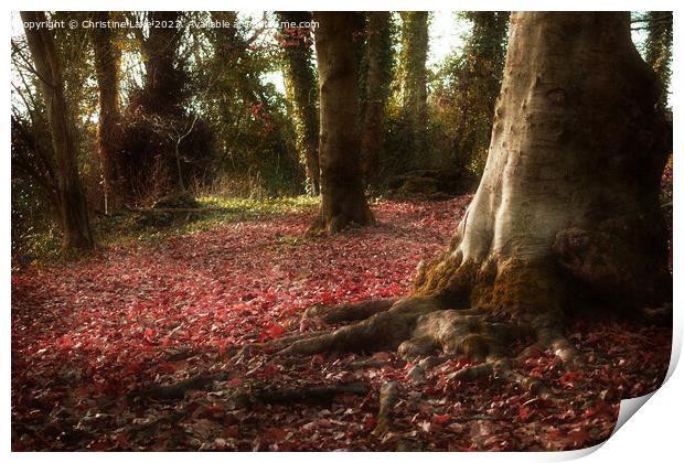 A Carpet Of Autumn Leaves Print by Christine Lake