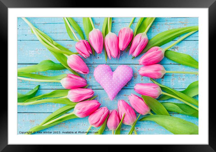 valentine's day holiday Plant flower Framed Mounted Print by Alex Winter