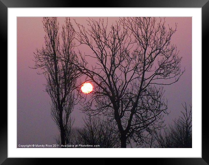 Early morning sun Framed Mounted Print by Mandy Rice