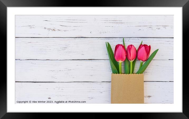 tulip flowers Framed Mounted Print by Alex Winter