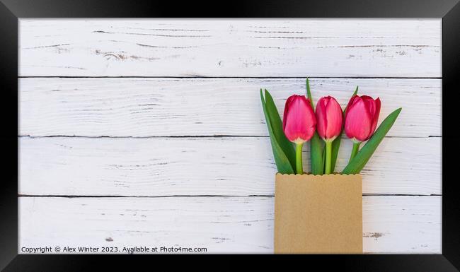 tulip flowers Framed Print by Alex Winter