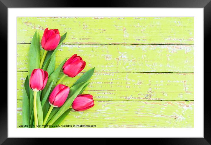 Bouquet of tulips Framed Mounted Print by Alex Winter
