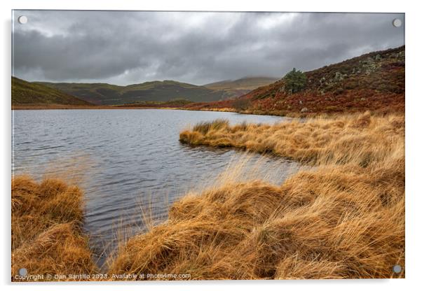 Llyn Barfog (The Bearded Lake), Snowdonia Acrylic by Dan Santillo