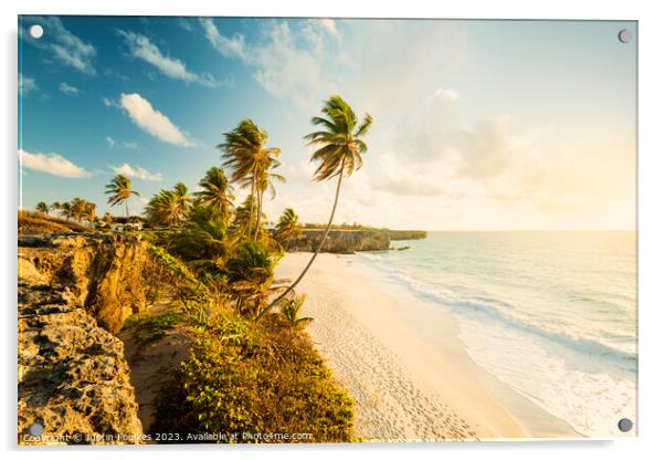 Bottom Bay at sunrise, Barbados, Caribbean Acrylic by Justin Foulkes