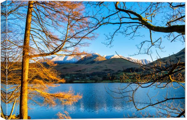 Serenity in Buttermere Canvas Print by Steve Smith