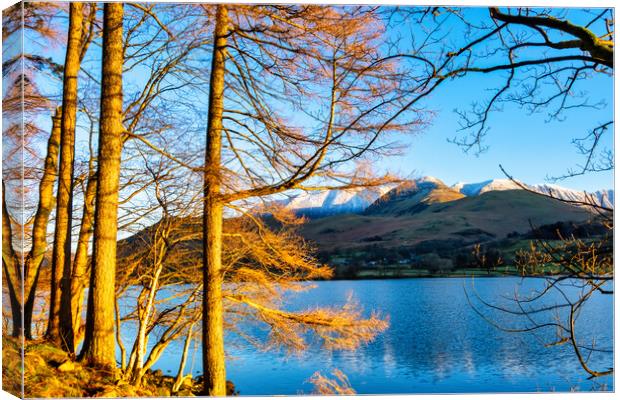 Buttermere Lake District Canvas Print by Steve Smith