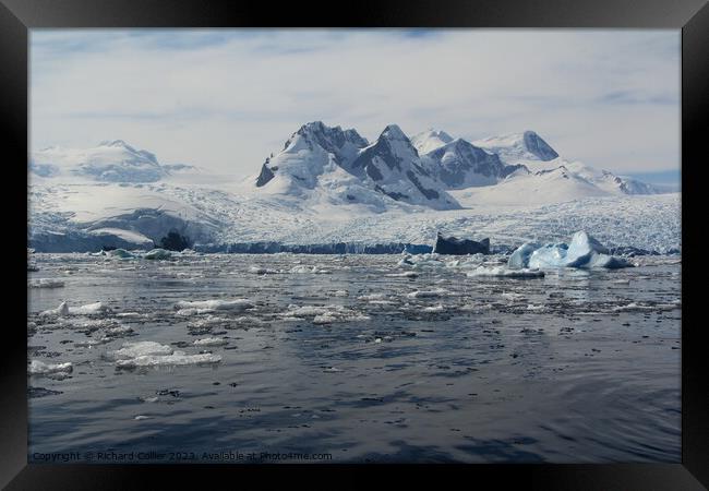 Antarctic Peninsula  Framed Print by Richard Collier