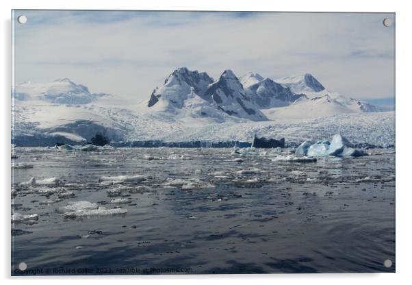 Antarctic Peninsula  Acrylic by Richard Collier