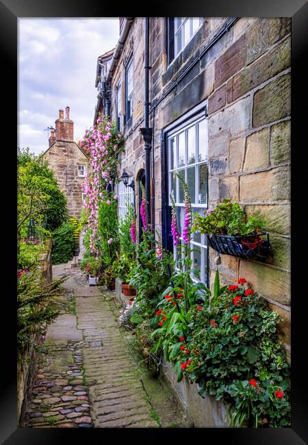 A Secret Garden on the Yorkshire Coast Framed Print by Tim Hill