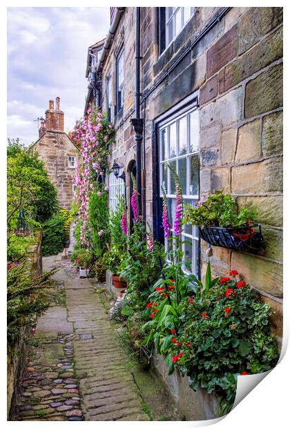 A Secret Garden on the Yorkshire Coast Print by Tim Hill