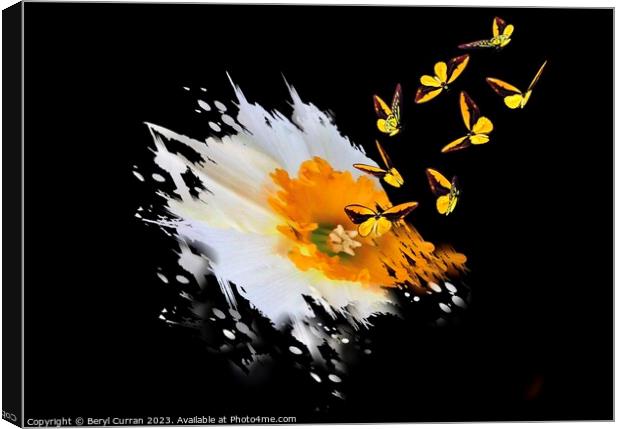 Burst of Spring Canvas Print by Beryl Curran