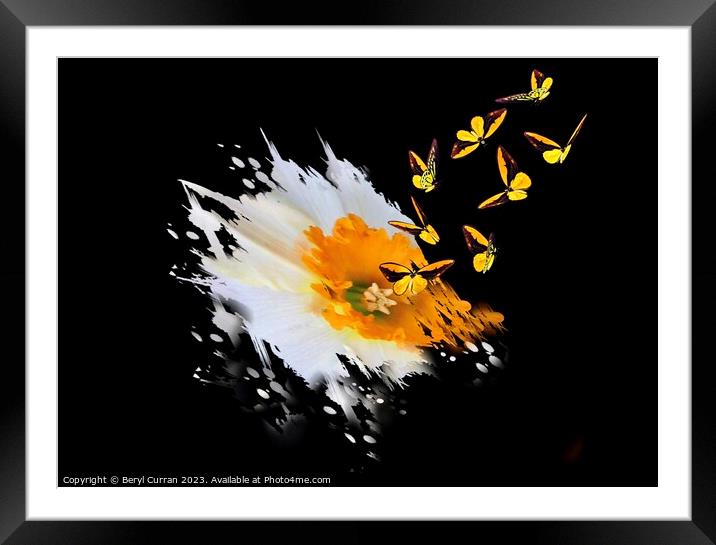 Burst of Spring Framed Mounted Print by Beryl Curran