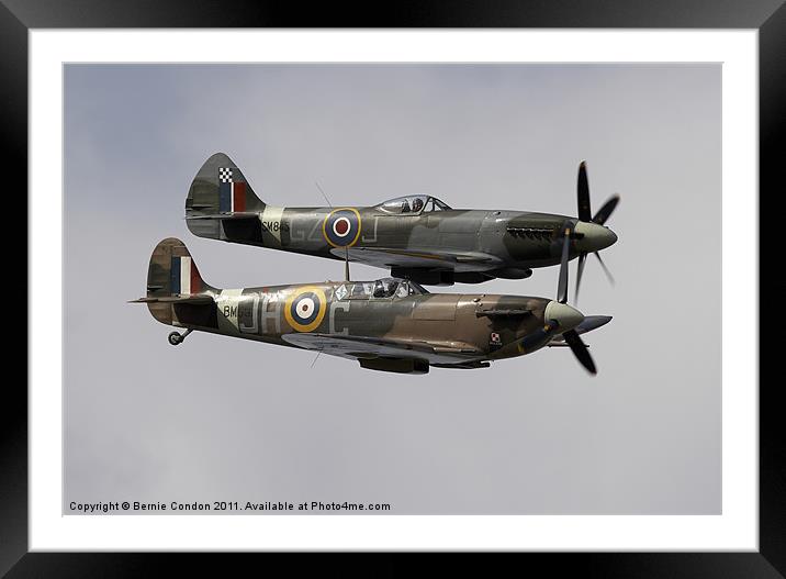 Spitfires Framed Mounted Print by Bernie Condon